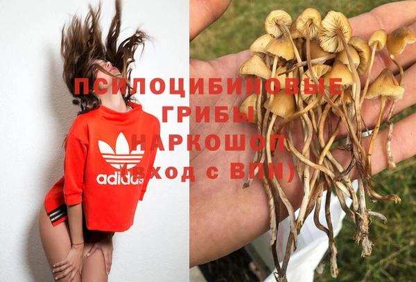 бошки Абинск