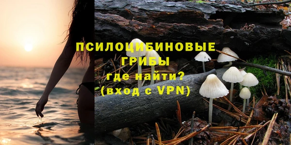 бошки Абинск