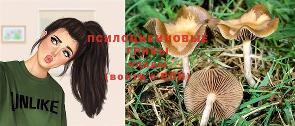 герыч Абдулино