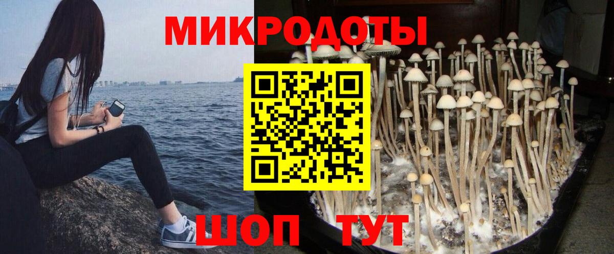 Алапаевск  Галлюциногенные грибы Cubensis  Вход с VPN 